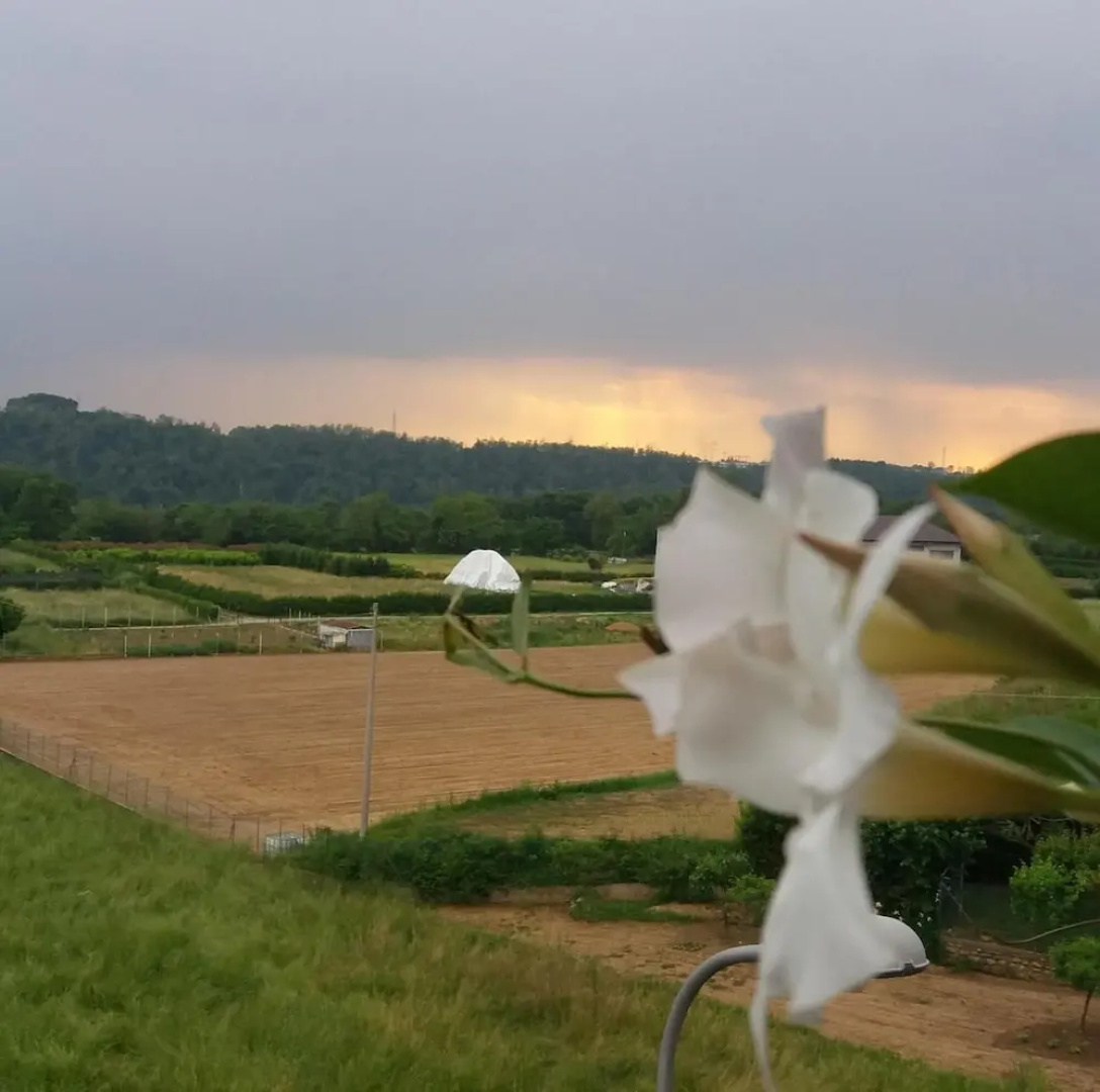 Le Vigne Sull'Adda