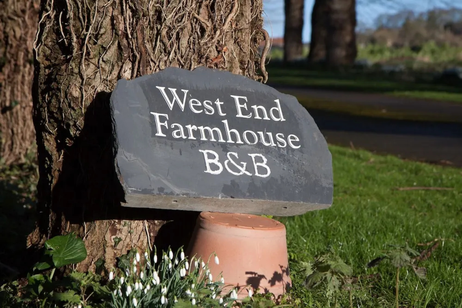 West End Flower Farm Bed and Breakfast
