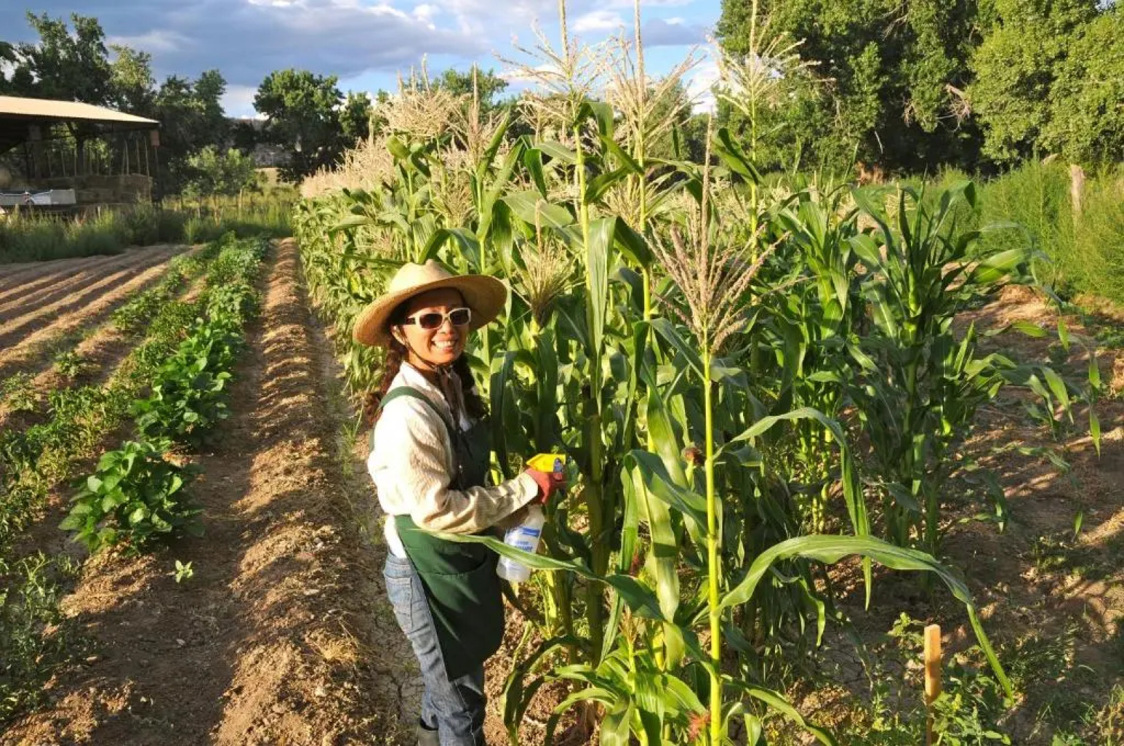 Canyon Of The Ancients Guest Ranch