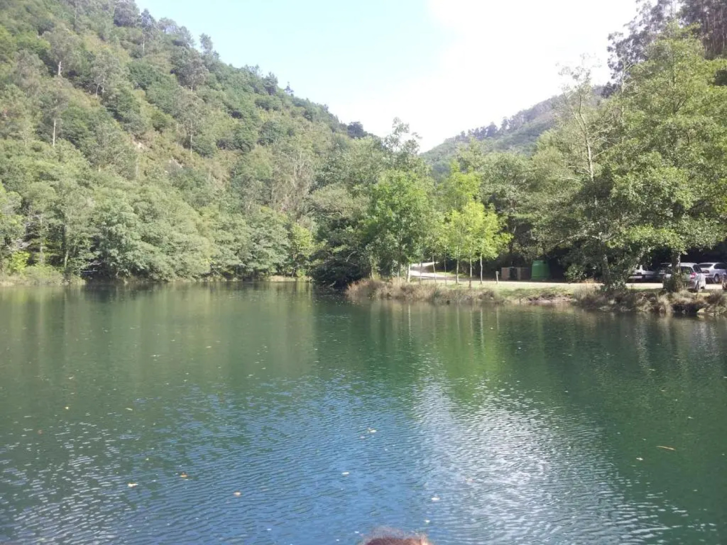 Apartamentos Rosa Jove