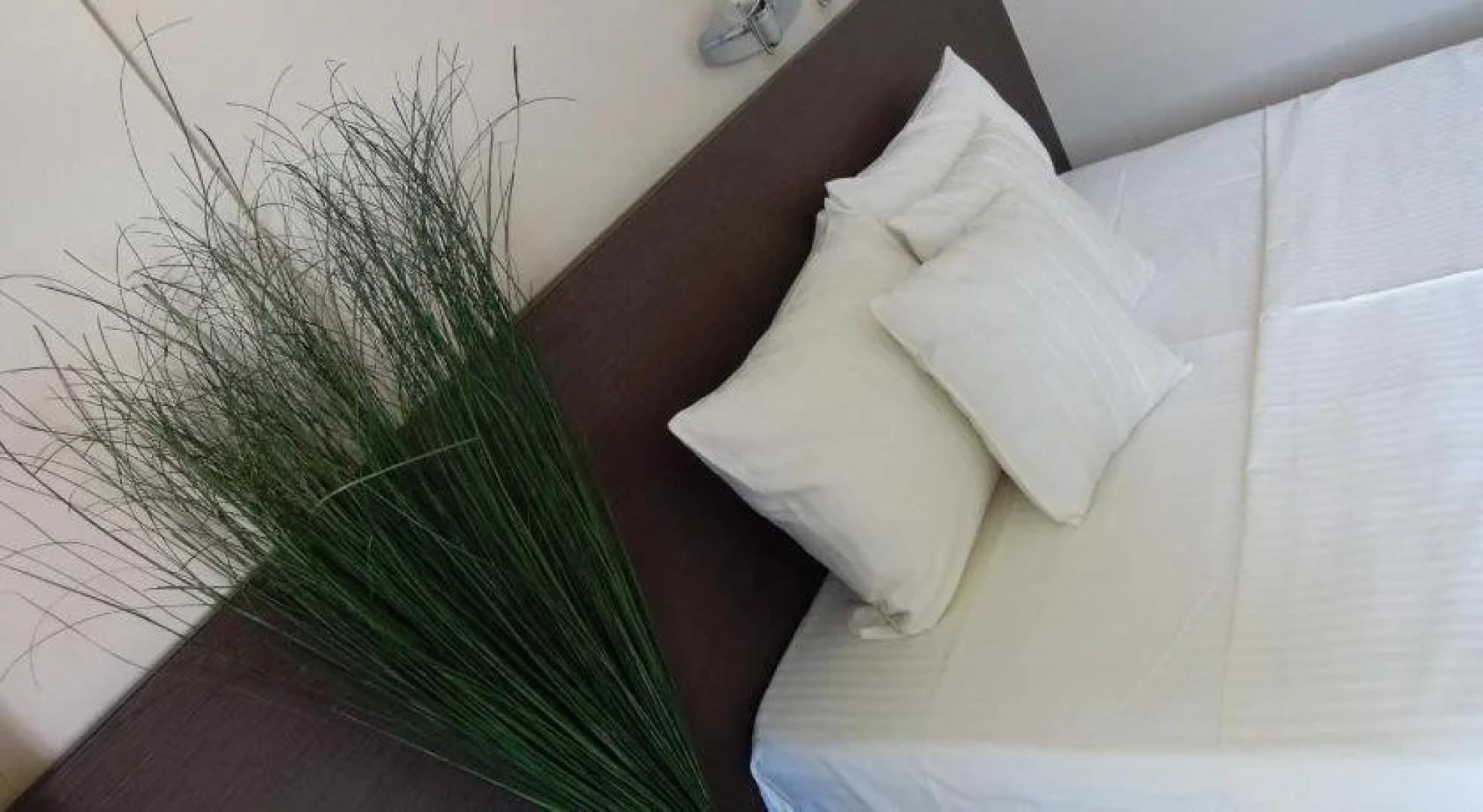 Guest Accommodation Konstantin 2008