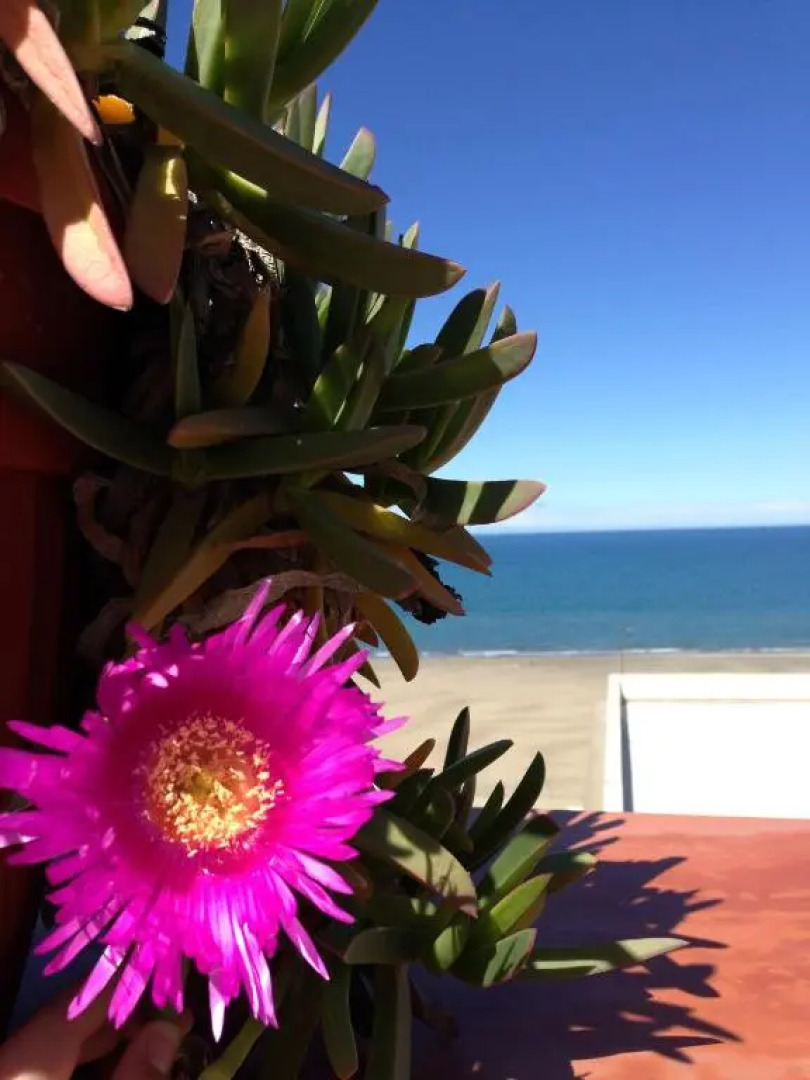 Casa vacanze Little Paradise