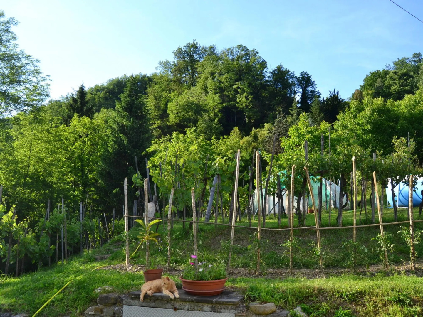 Belvilla by Oyo Pradaccio