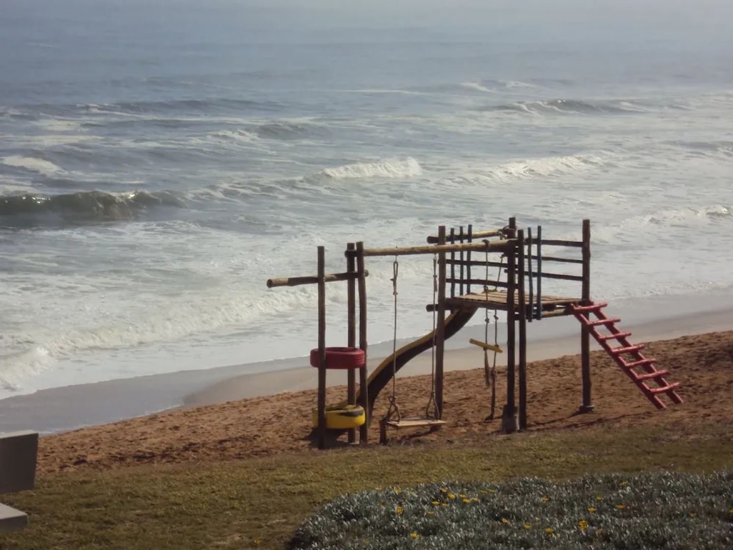 First Group Desert Rose