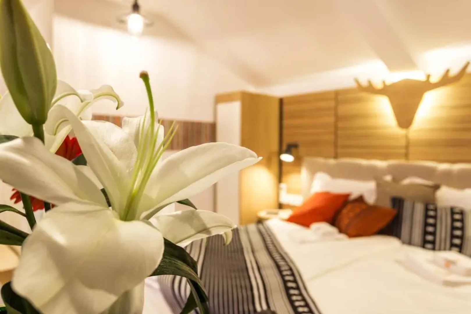 Complex Vazrozhdentsi