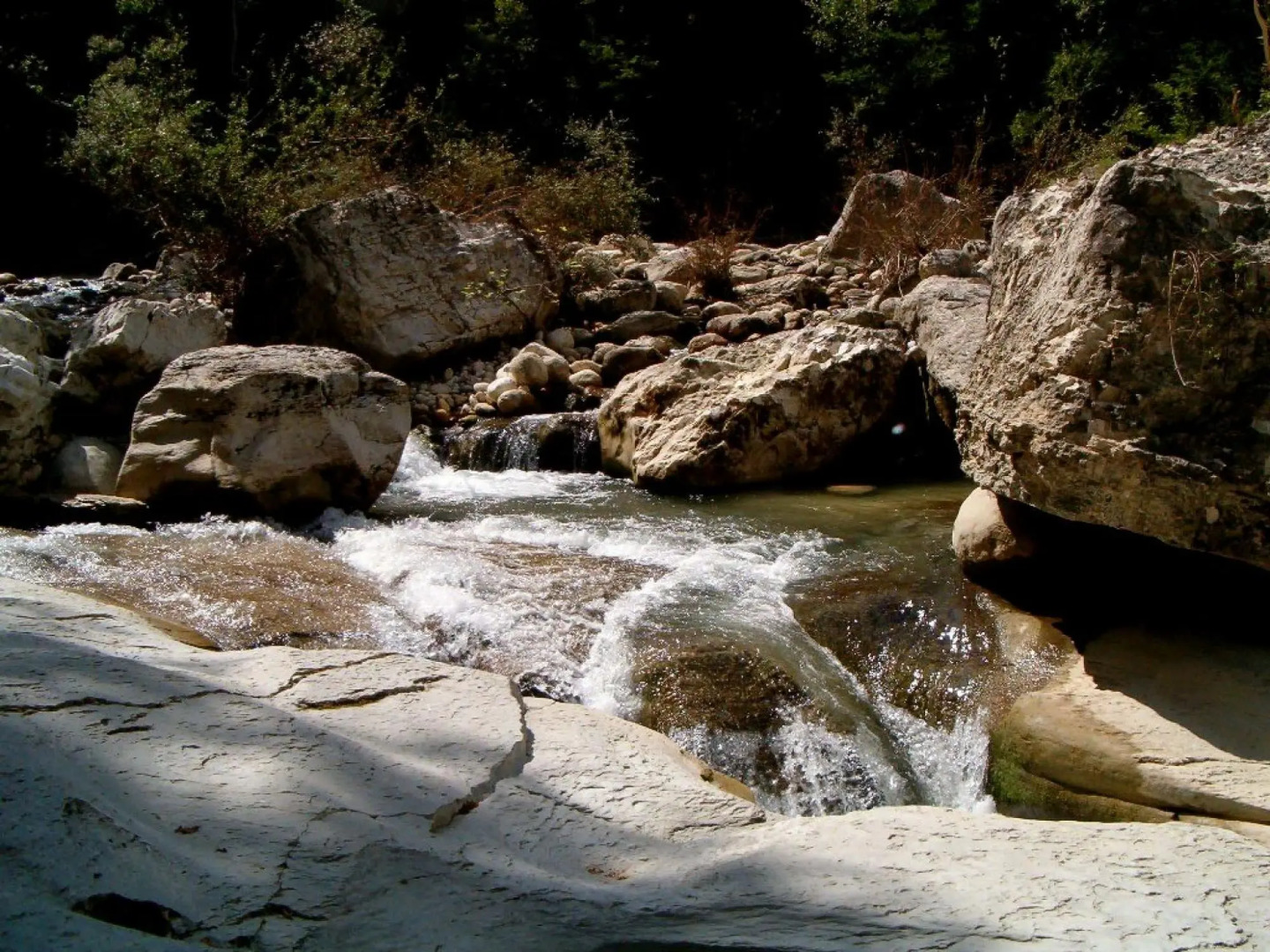 Chalet 6 Agriturismo