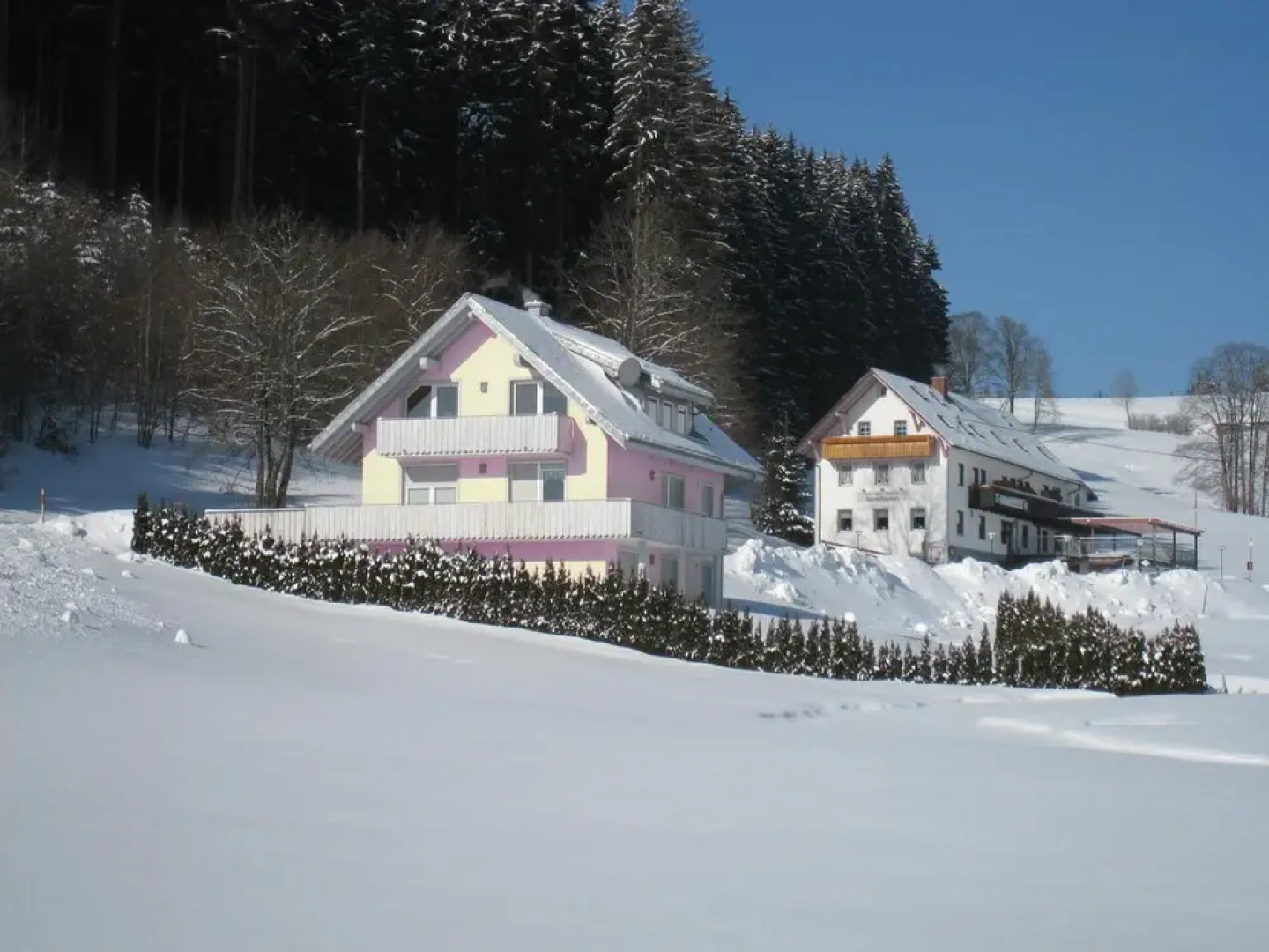 Gasthaus Pension Donishäusle