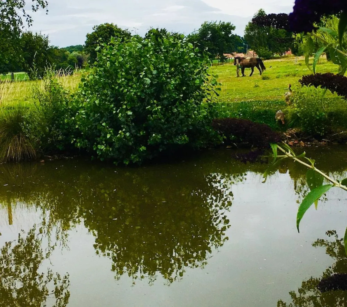 Paardenhof Guesthouse