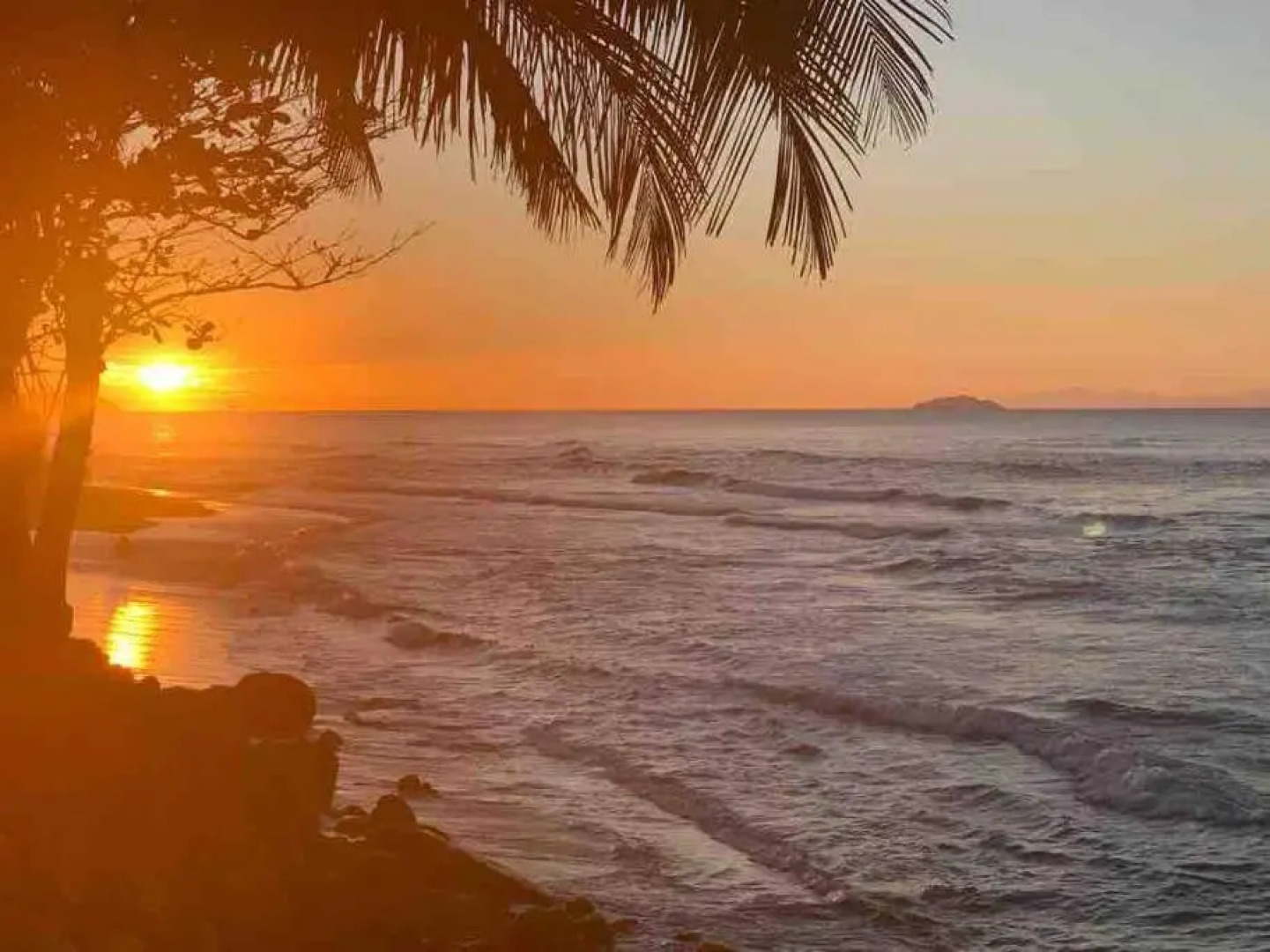 My Dream Beach House