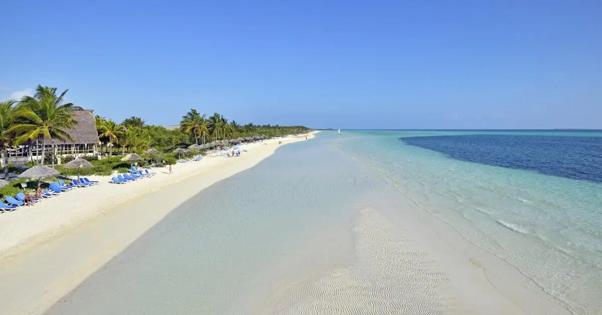 Melia Cayo Guillermo