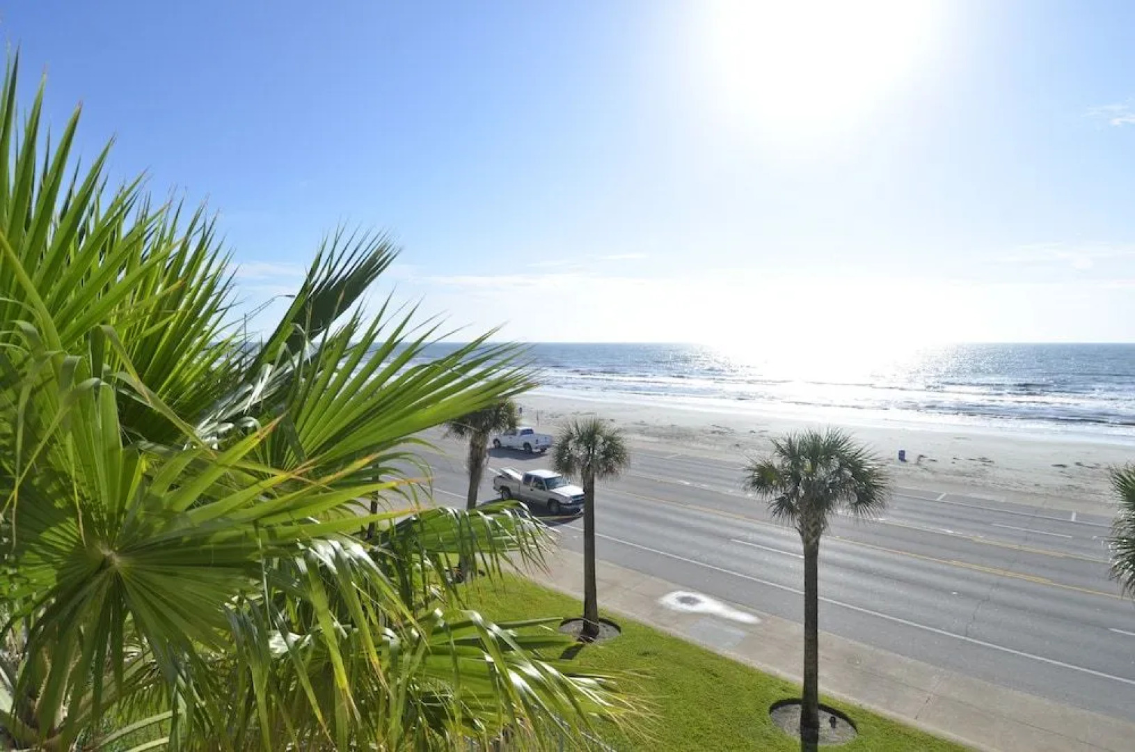 The Regal Seagull by RedAwning