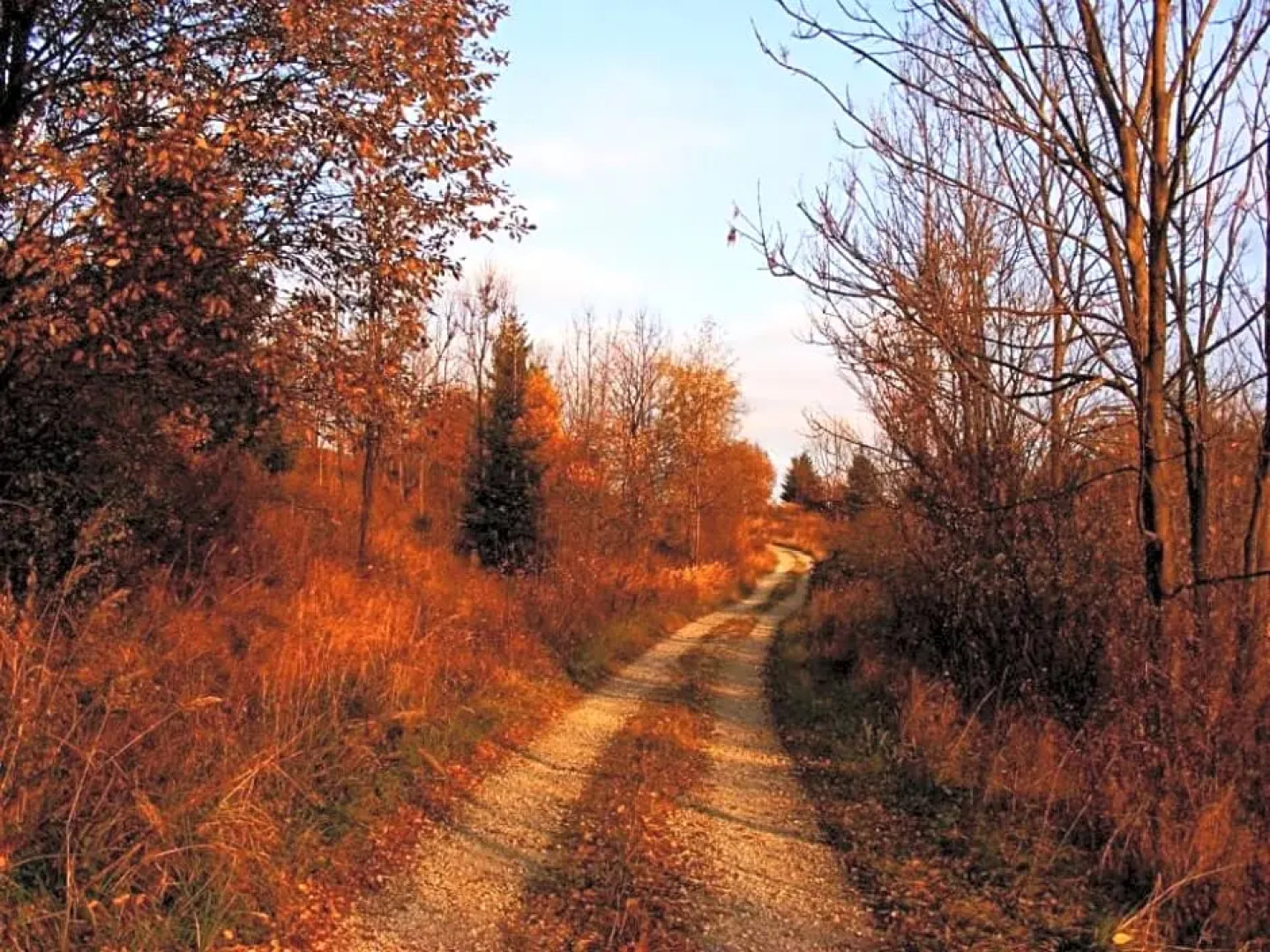 Chata nad Briežkami