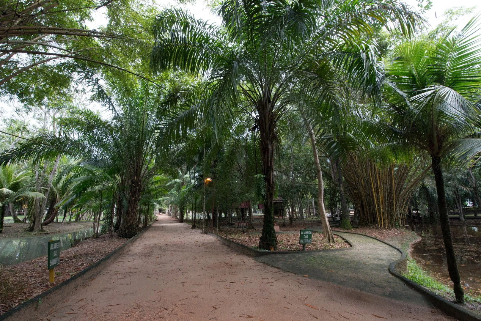 Hotel Regente Paragominas