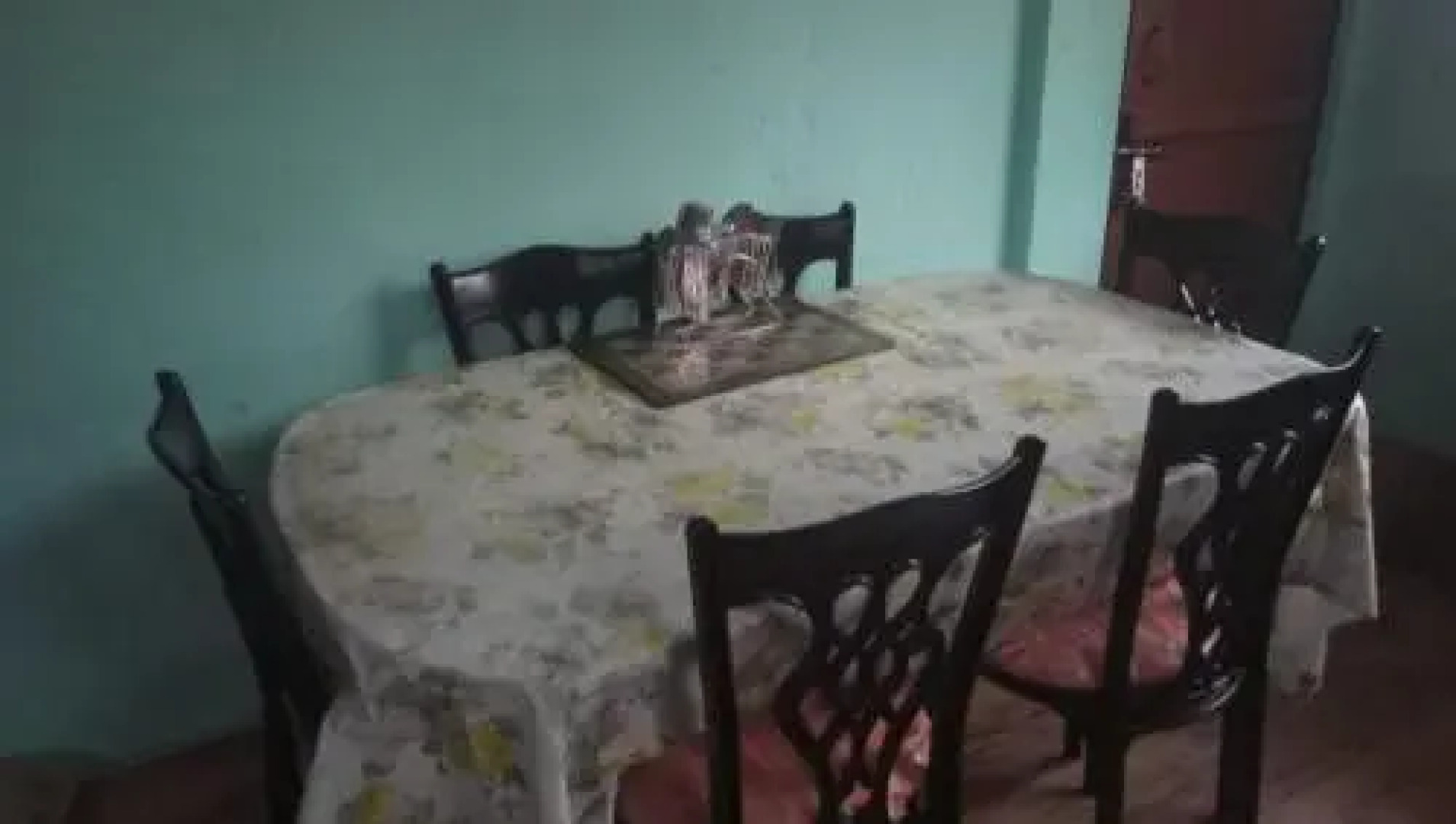 Vamoosetrail Singell