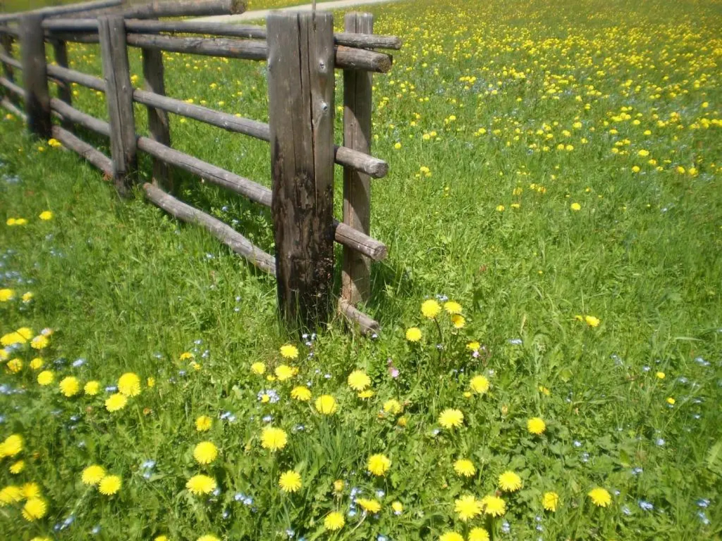 Appartements Respiration Almhaus Pfister