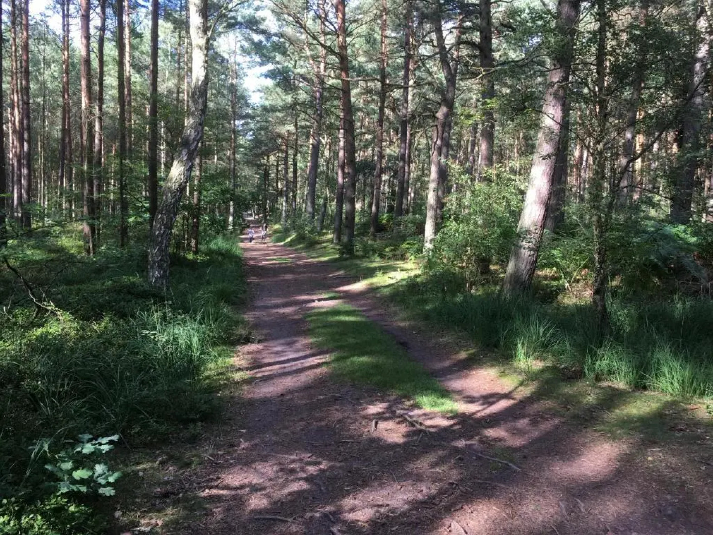 Family Apartments Tom