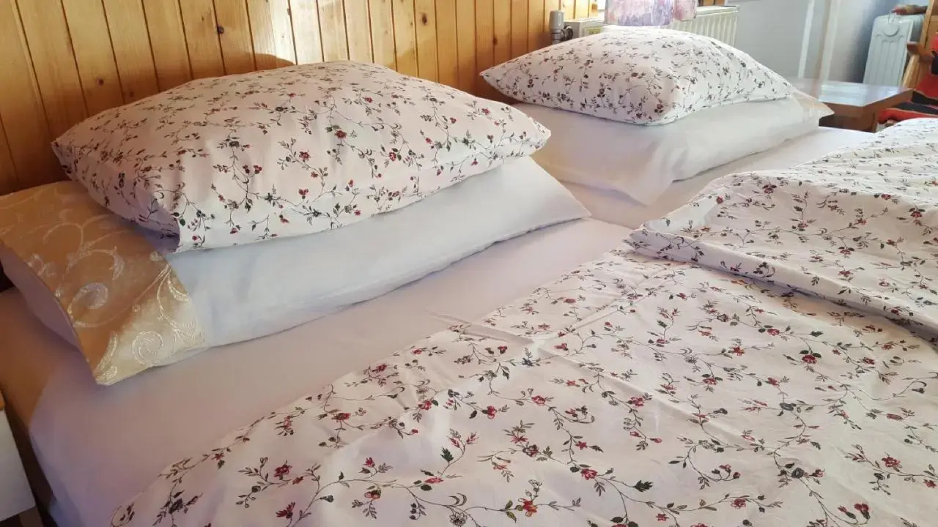 Sovica