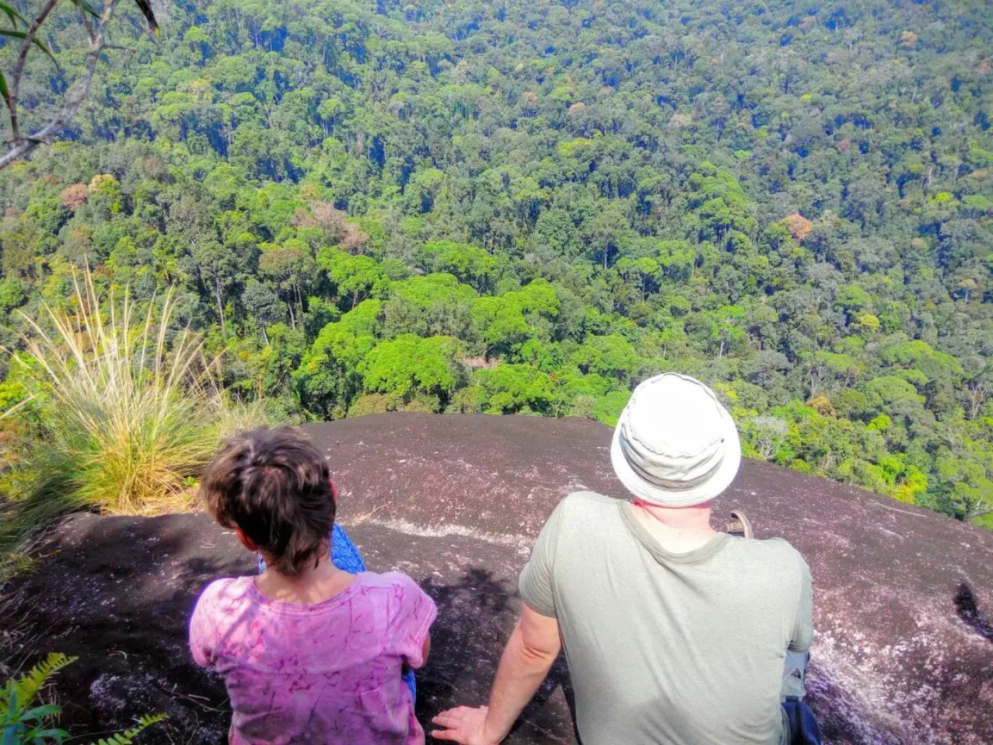 Rainforest Nature House