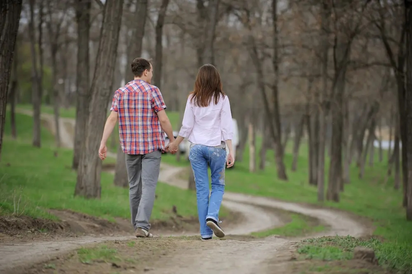 Luxury Woodland Lodges