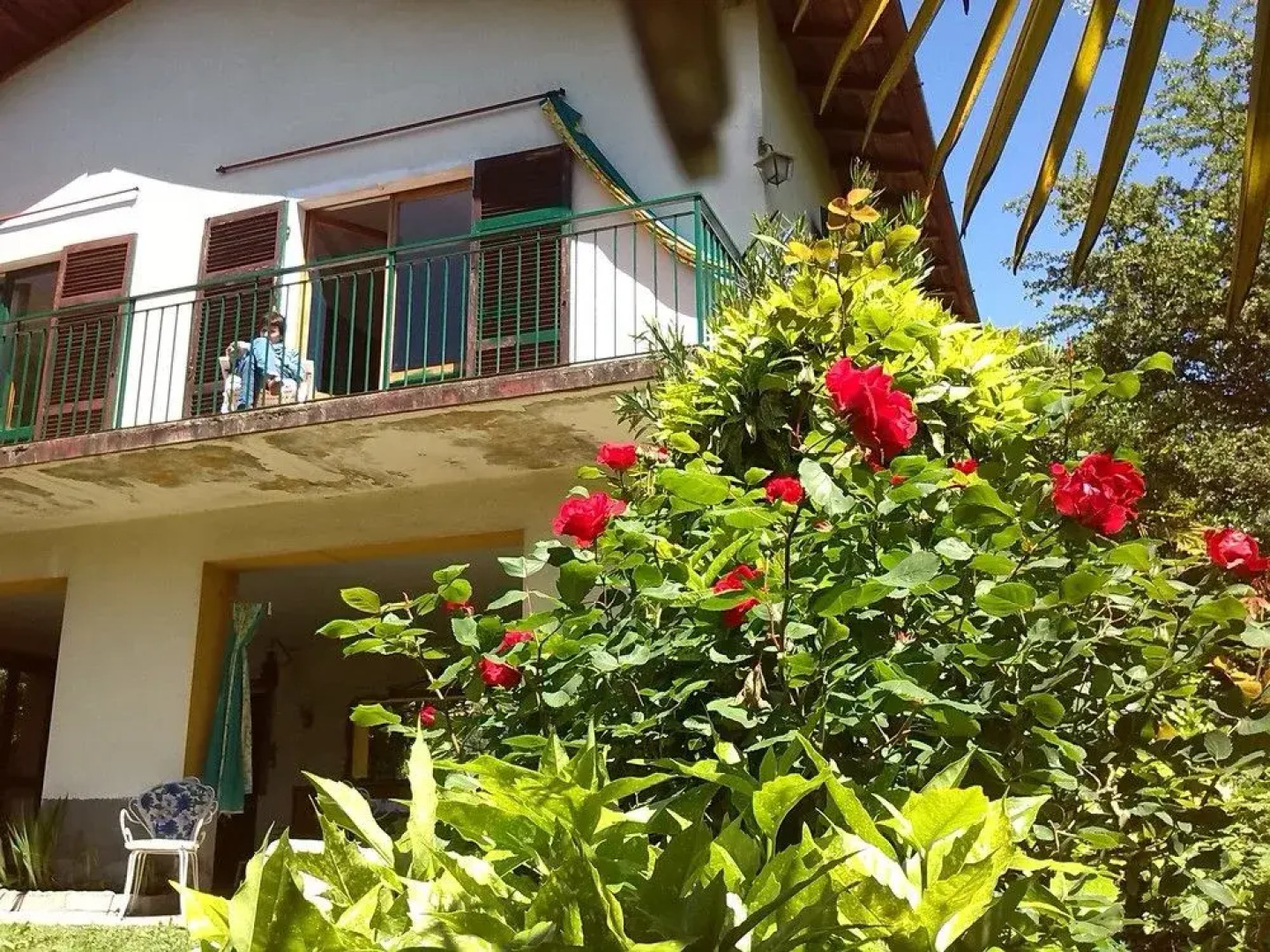 Casa Vacanze 100 Palme