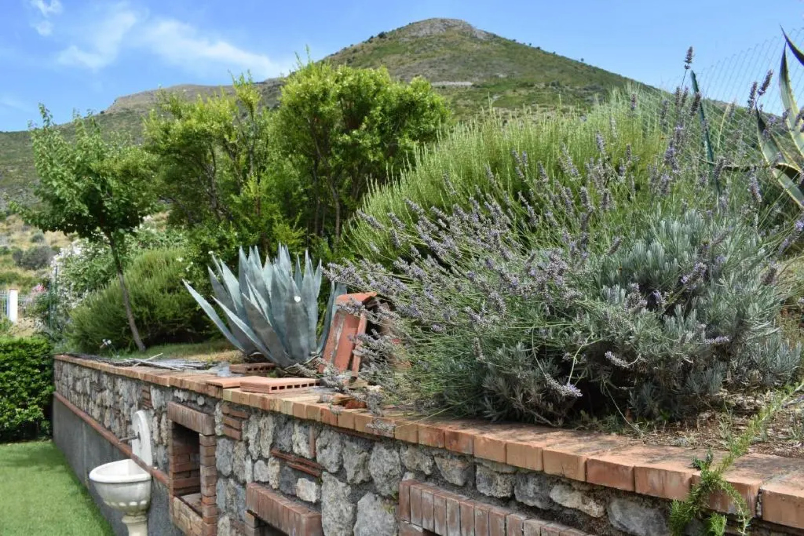 Tusitala - Rooms & Suite