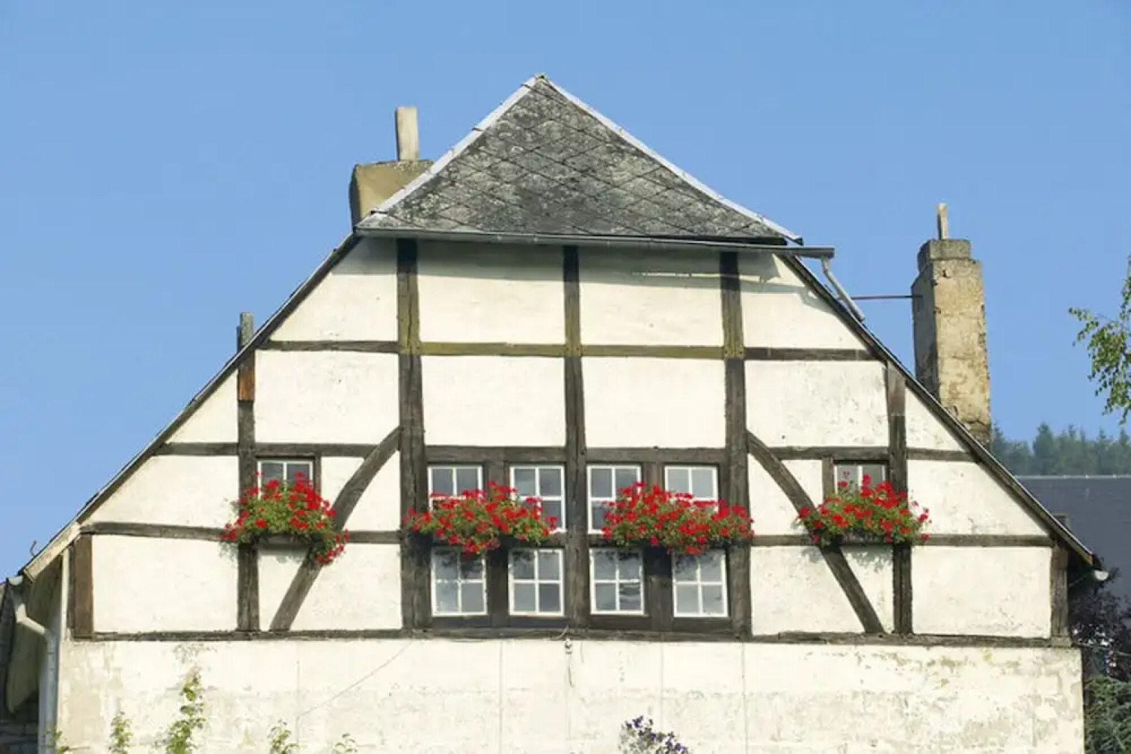 Cozy, Carefully Furnished Bungalow Near the Maas