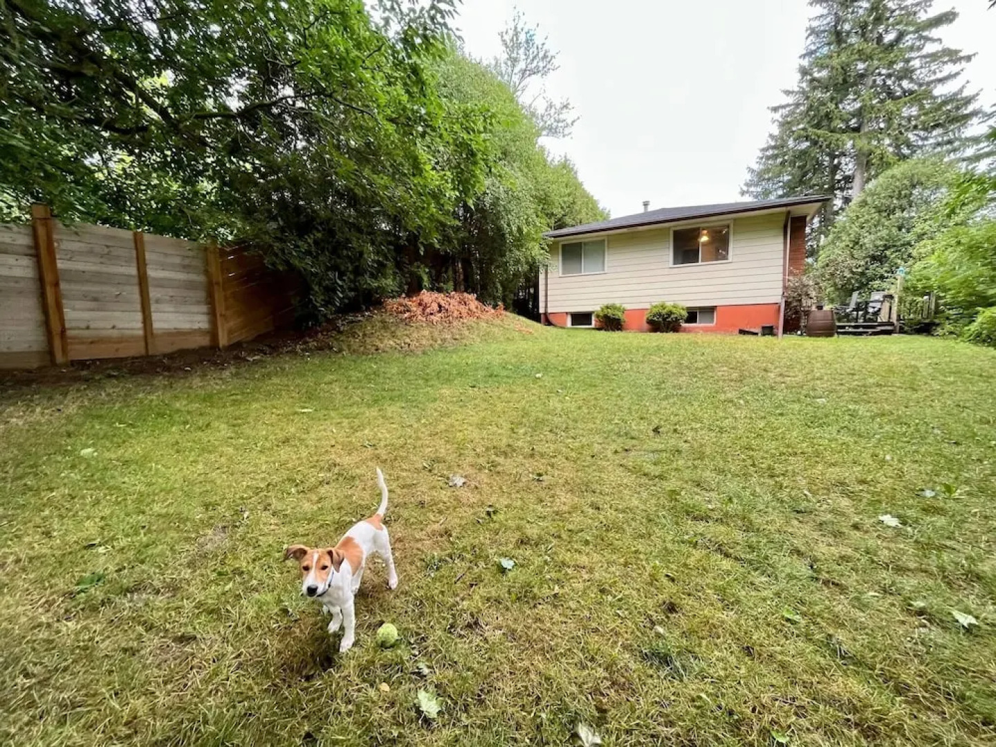 Adorable 1 Bedroom Suite With Kitchen &