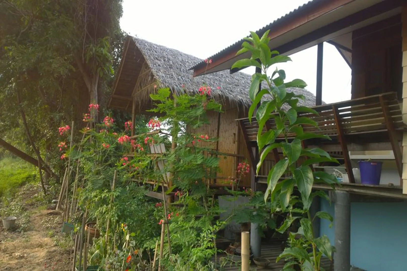 Cast Away  Homestay
