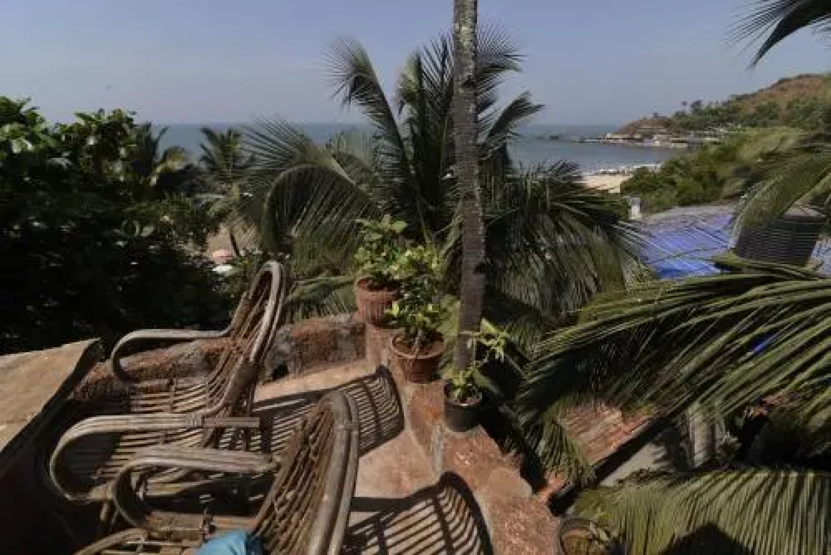 Cactus Guesthouse