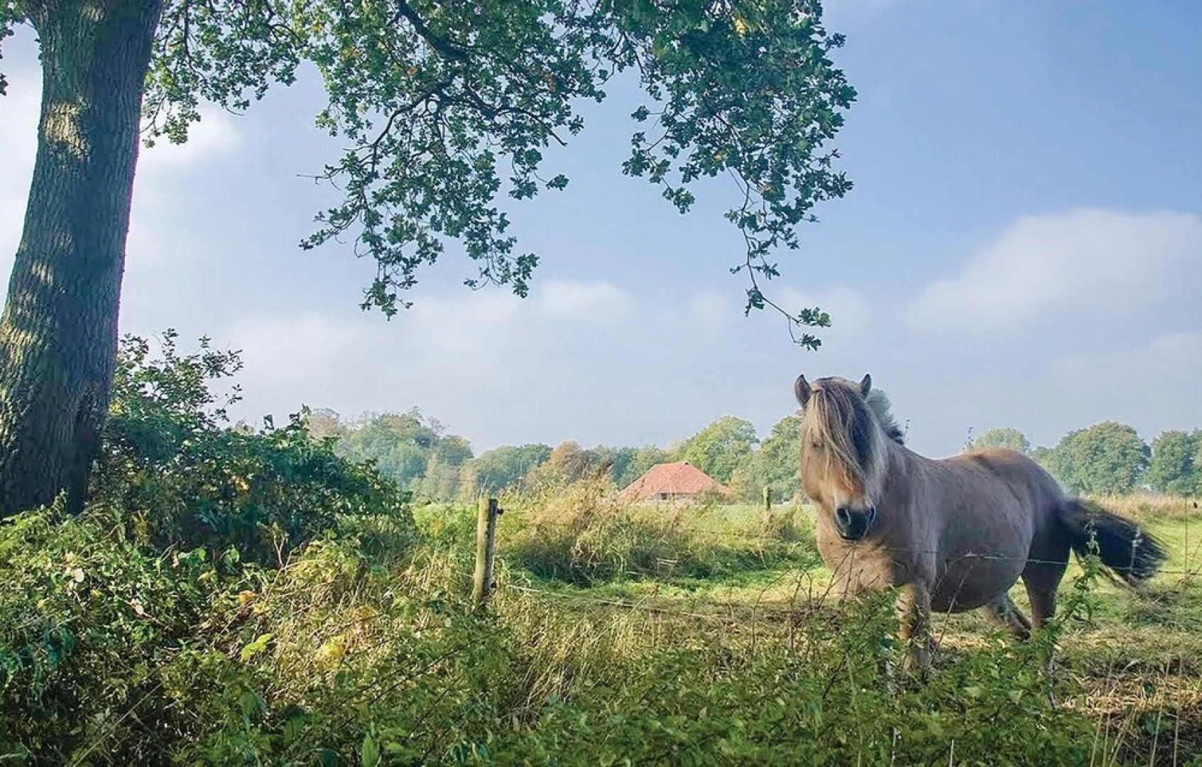 Awesome Home in Vlagtwedde With 3 Bedrooms, Wifi and Indoor Swimming Pool