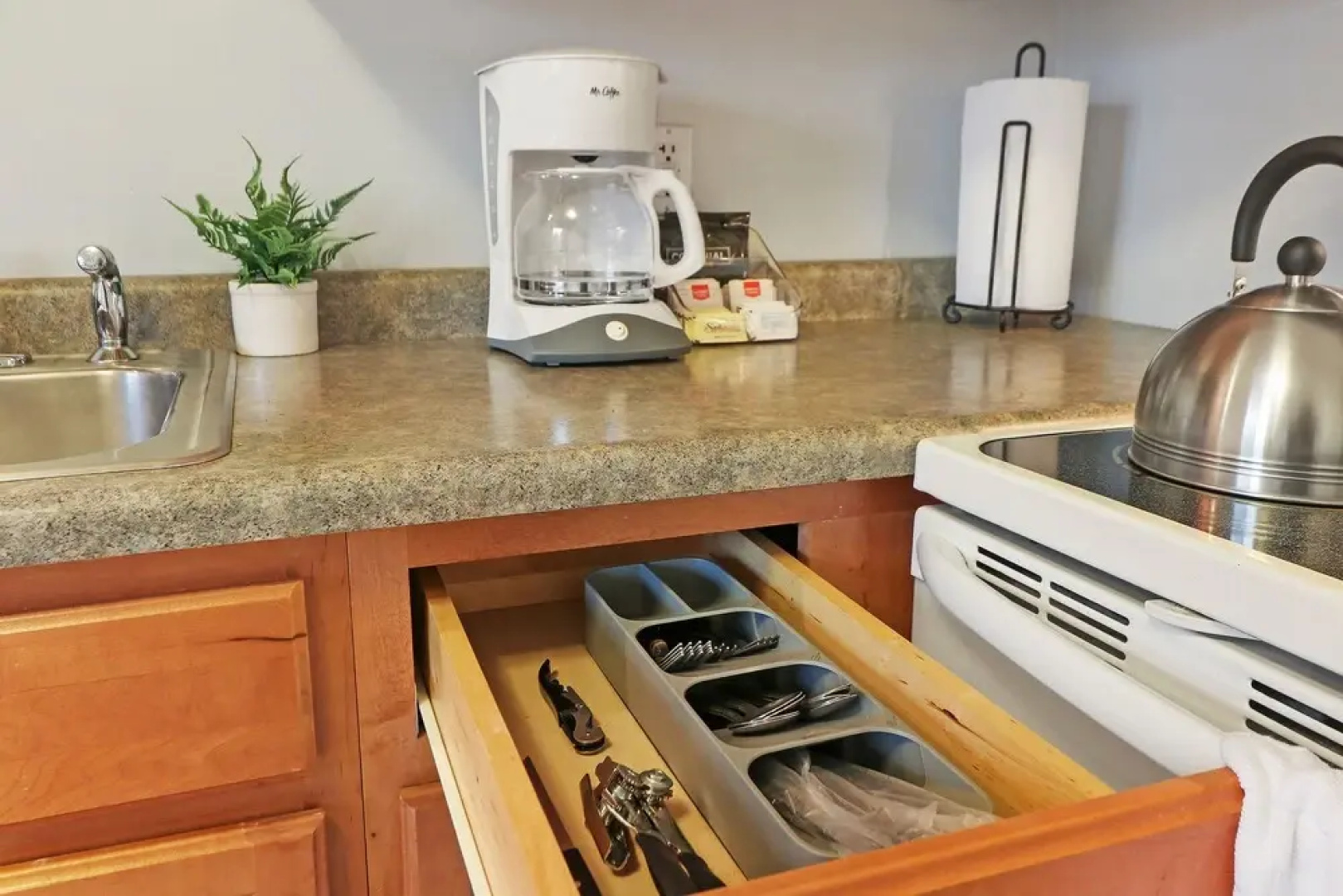 Lush 1BR Apt in Quiet Arlington Heights