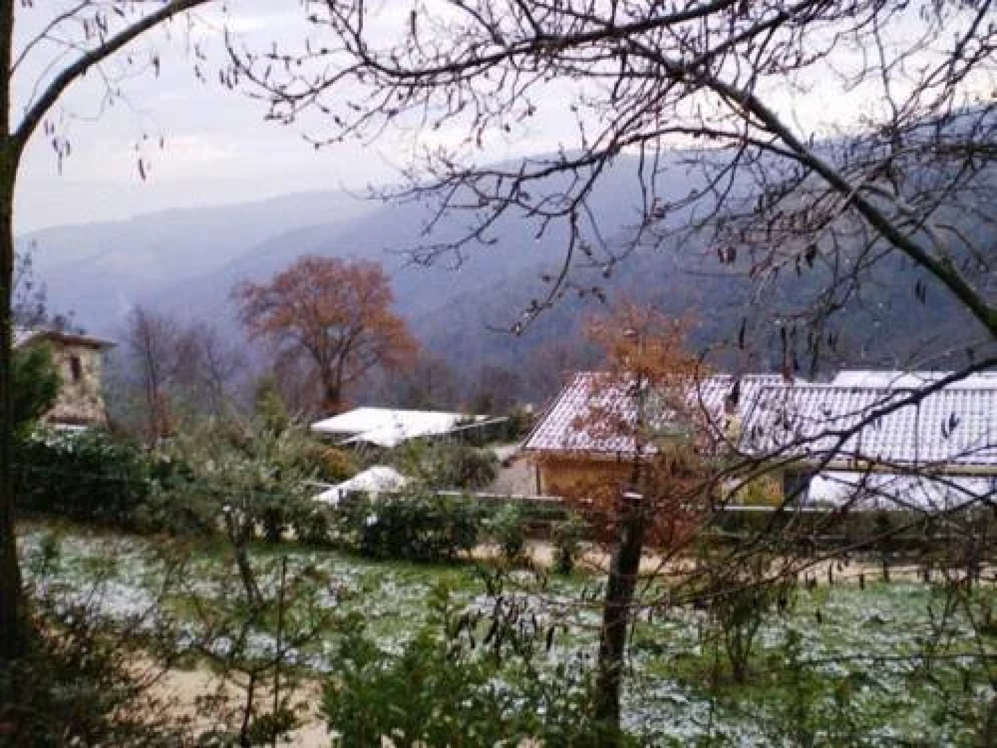 Colle Delle Ginestre
