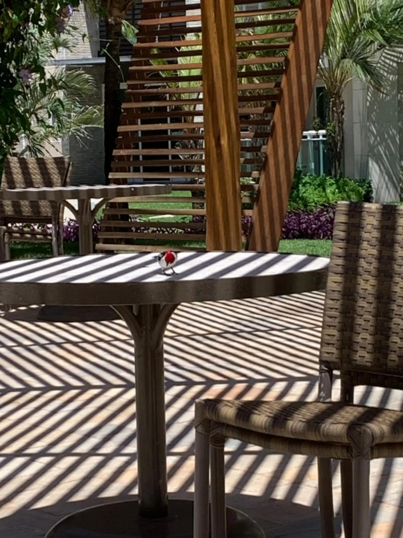 Riviera Aquiraz Golf Beach Place Ceará - Apartamento pé na areia