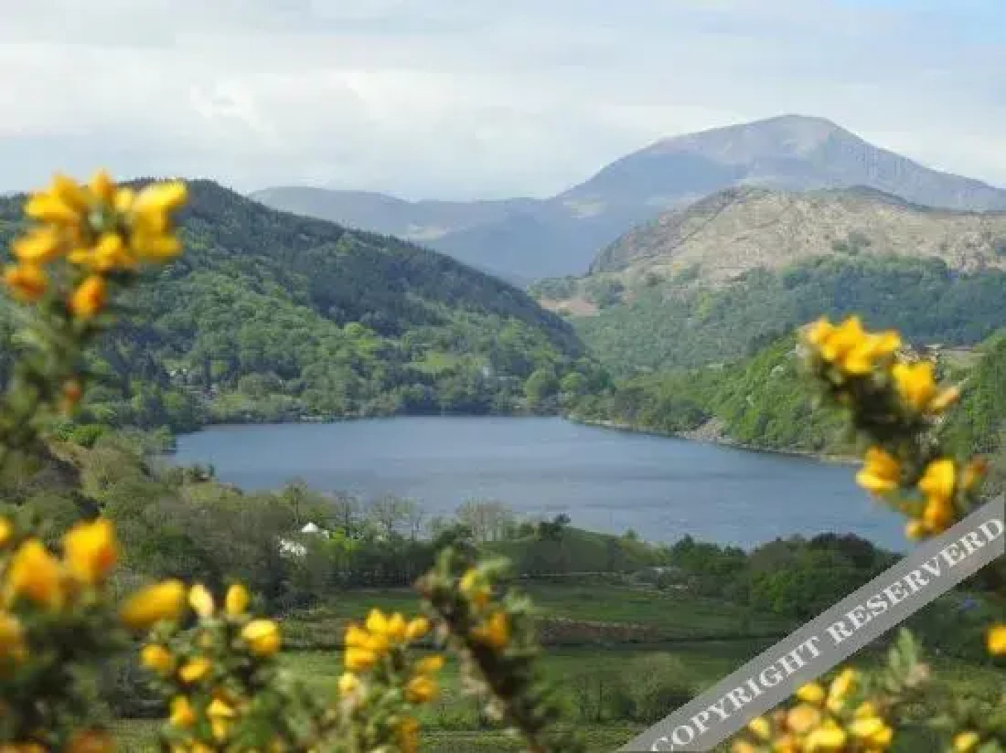 Ty Derw Country House B&B