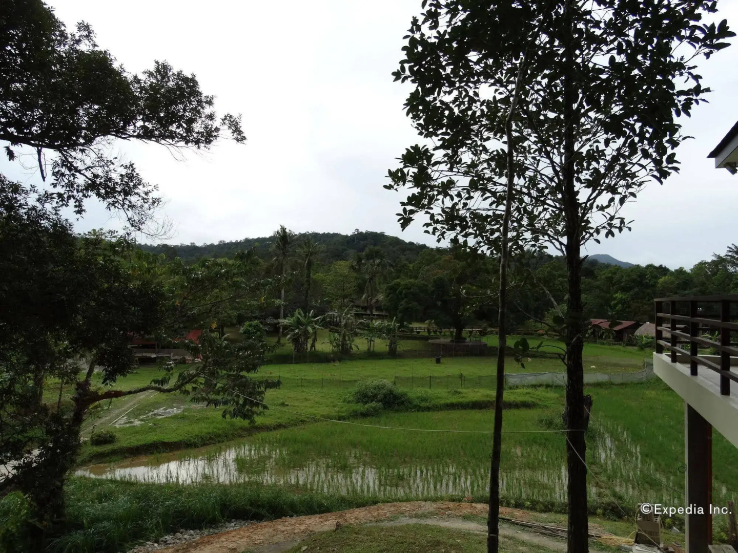 Sheridan Organic Farm and Eco Village