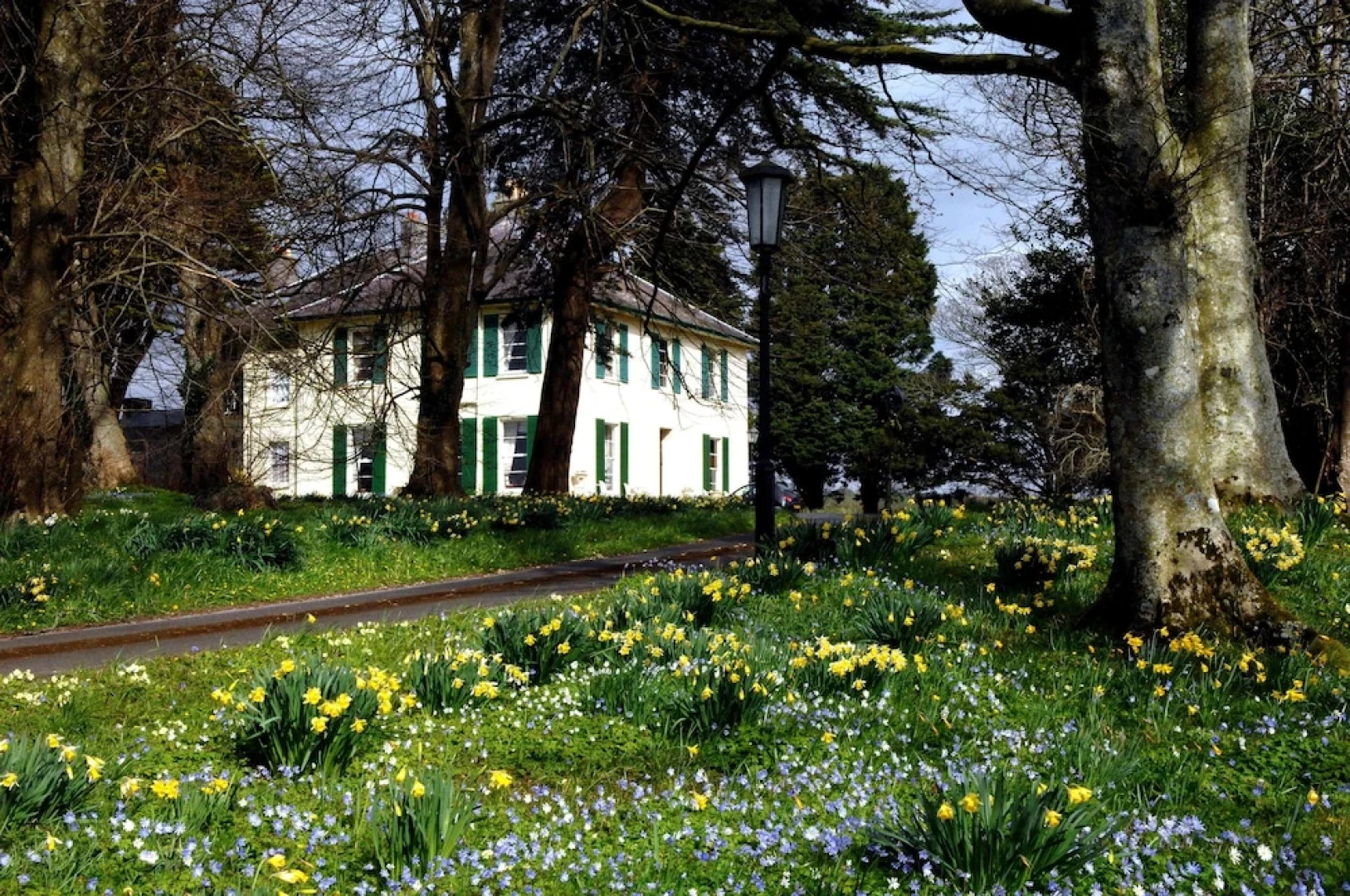 Flemishcourt Guest House