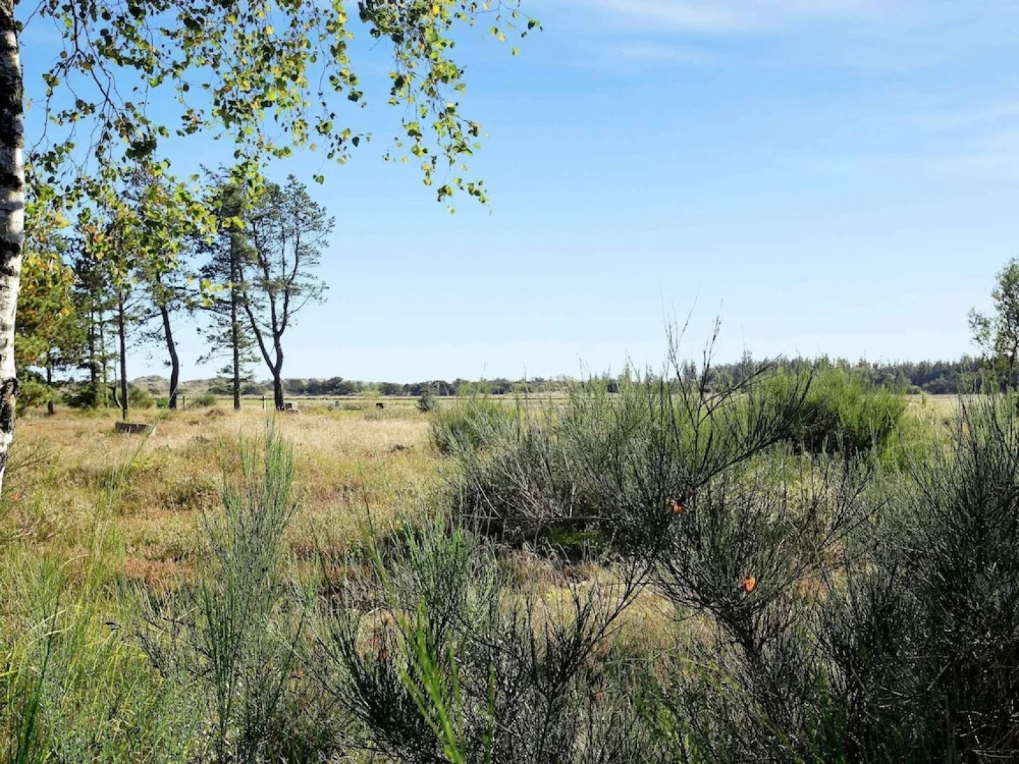 6 Person Holiday Home in Skagen