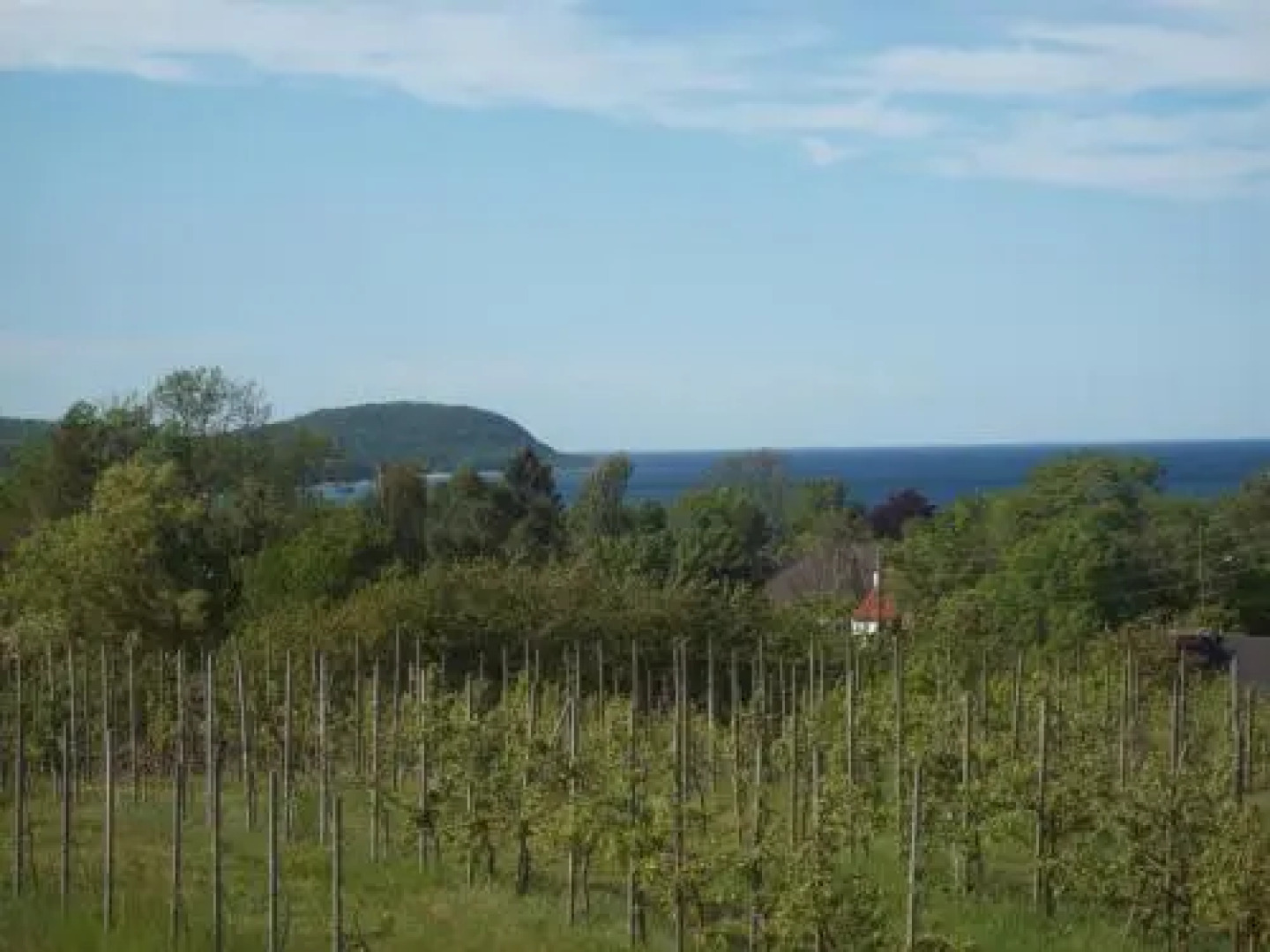 Carlssons på Vik