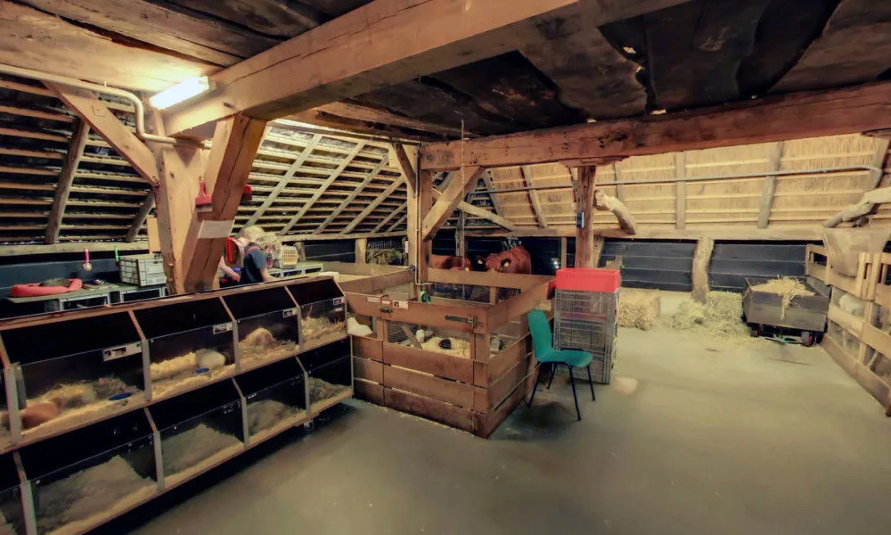 Landhoeve Zwieseborg