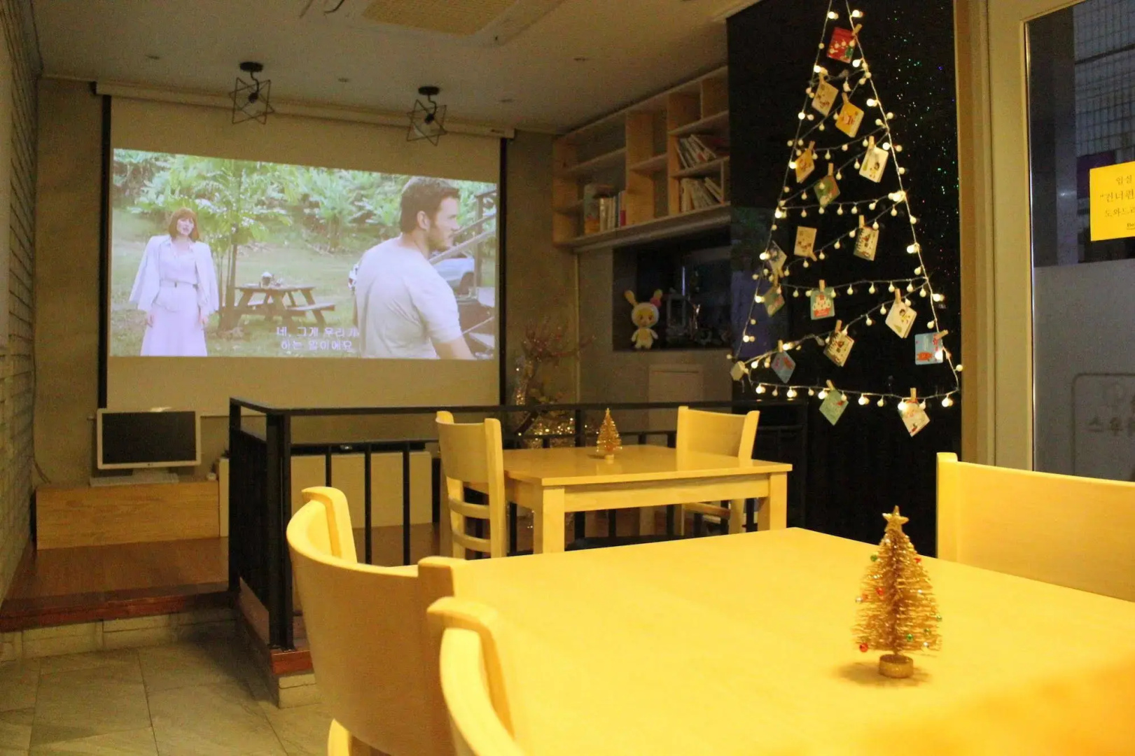 Beluga Guest House - Hostel