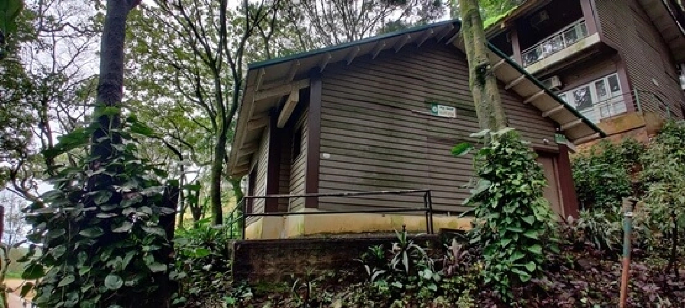 Kemmannugundi Hill Resort by Jungle Lodges