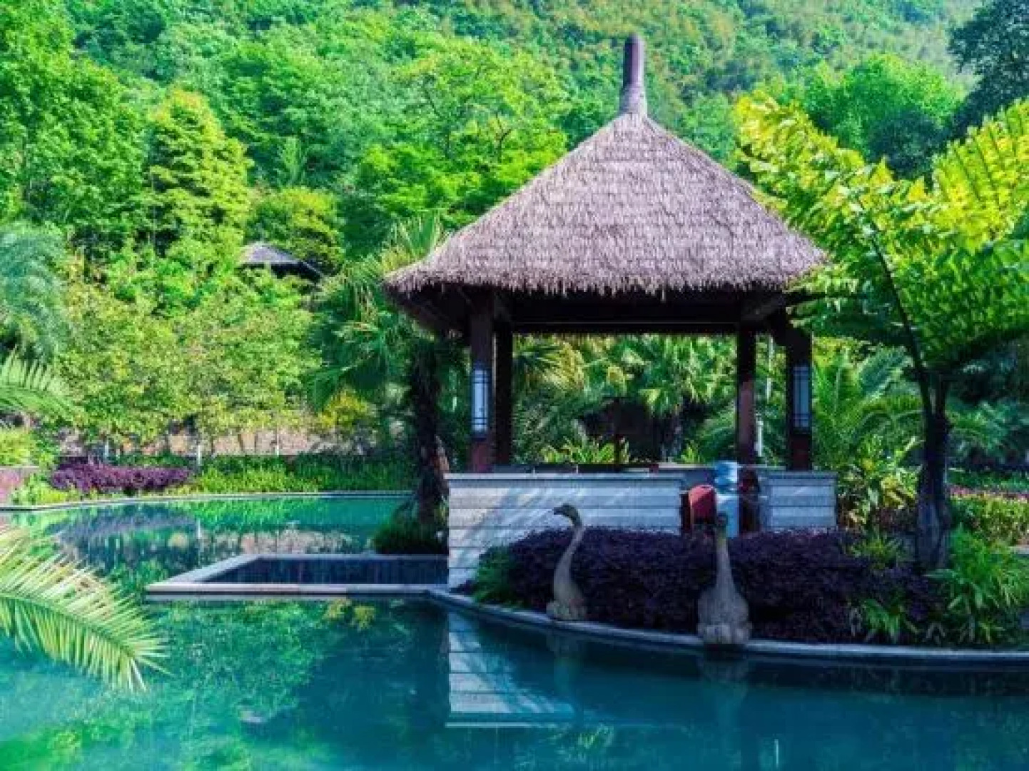 Lutang Hot Spring Resort