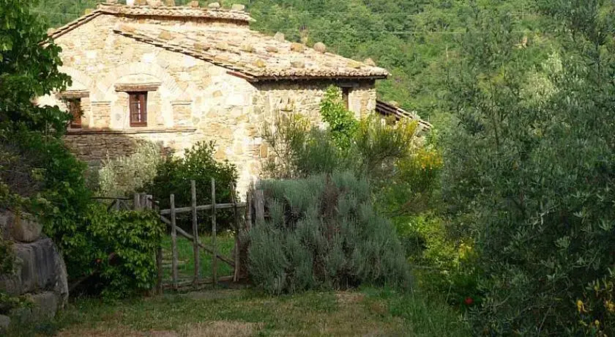 La Tortorella - Greppolischieto