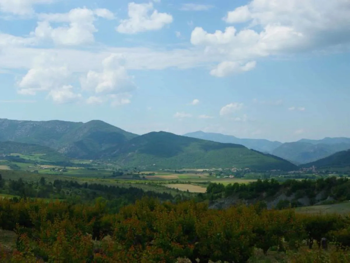 House Du Brun Buis-les-Baronnies