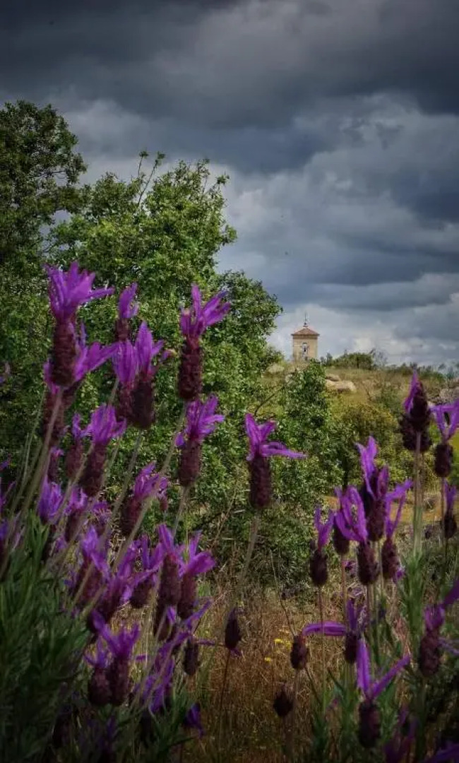 La Casita, Apartamento Completo