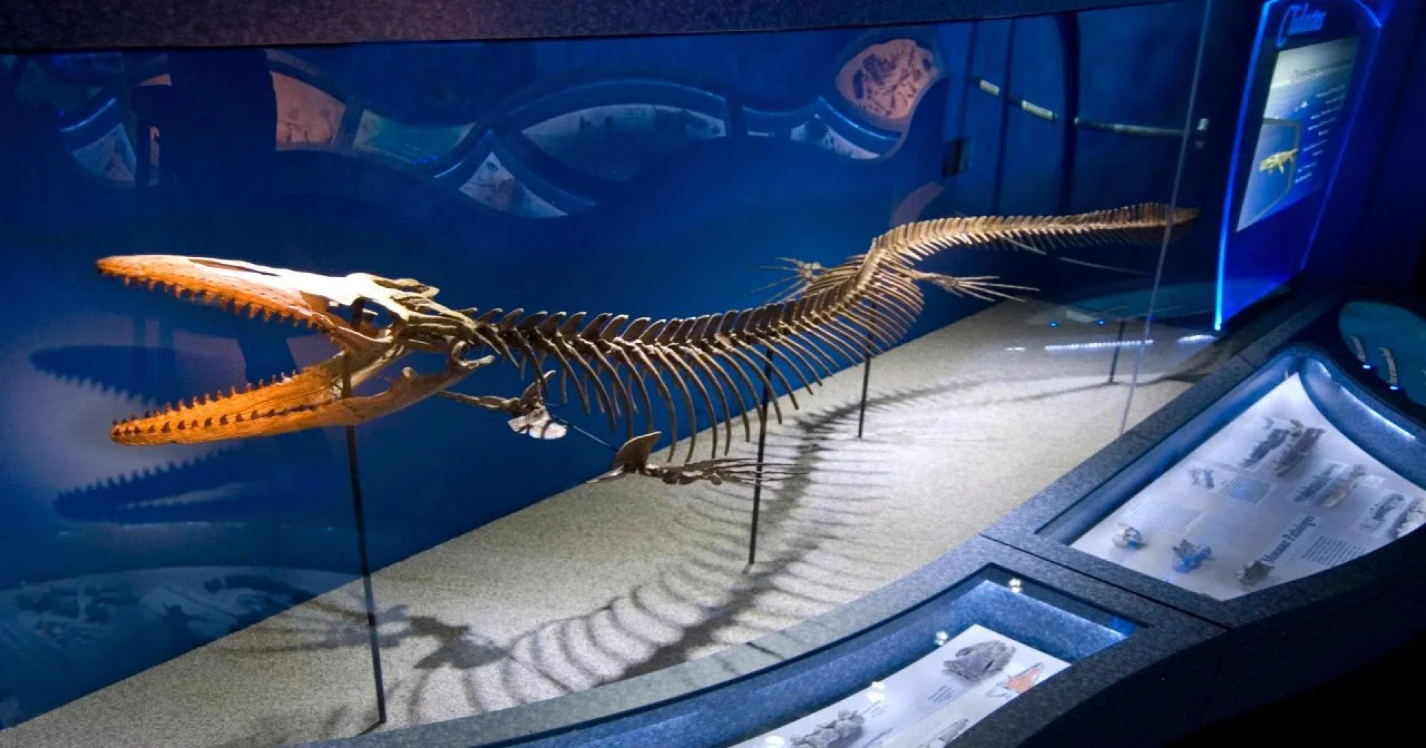 Sonesta Simply Suites Birmingham Hoover