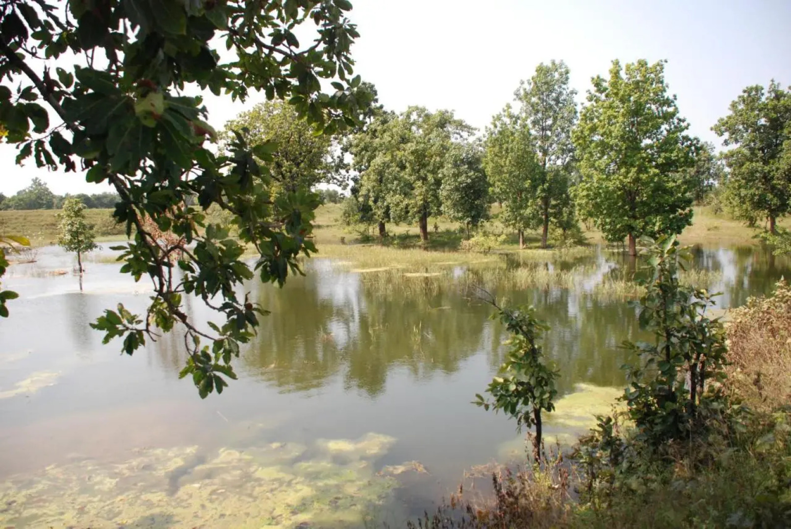 WelcomHeritage Jungle Home Pench