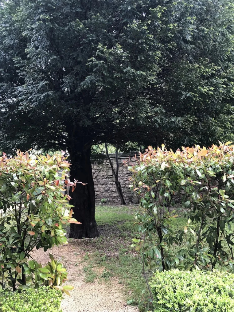 DARDENNE appt 2 personnes