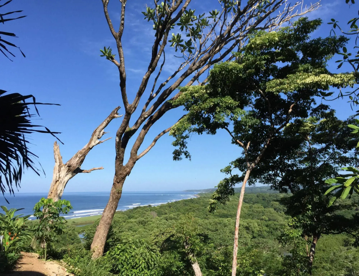 Hotel Boutique Lagarta Lodge