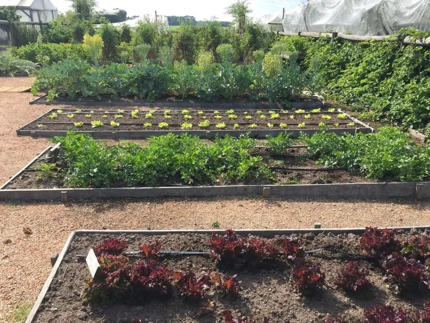 Lomas de San Vicente